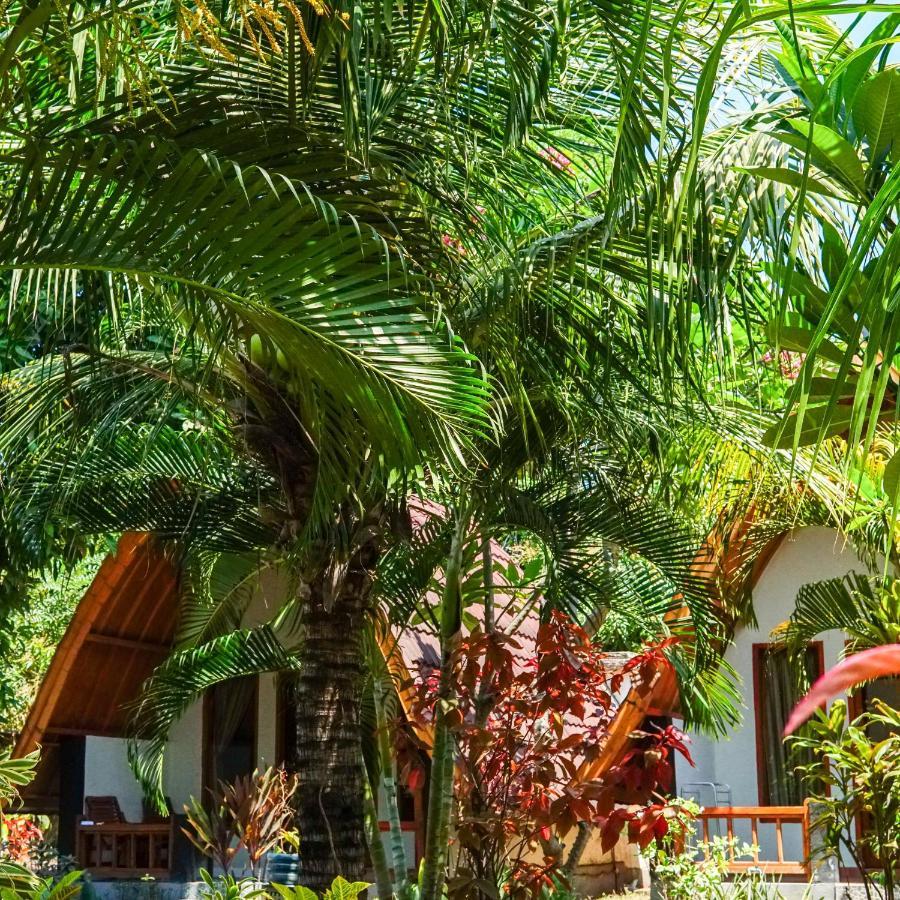 Florine'S Garden Hotel Gili Air Exterior photo