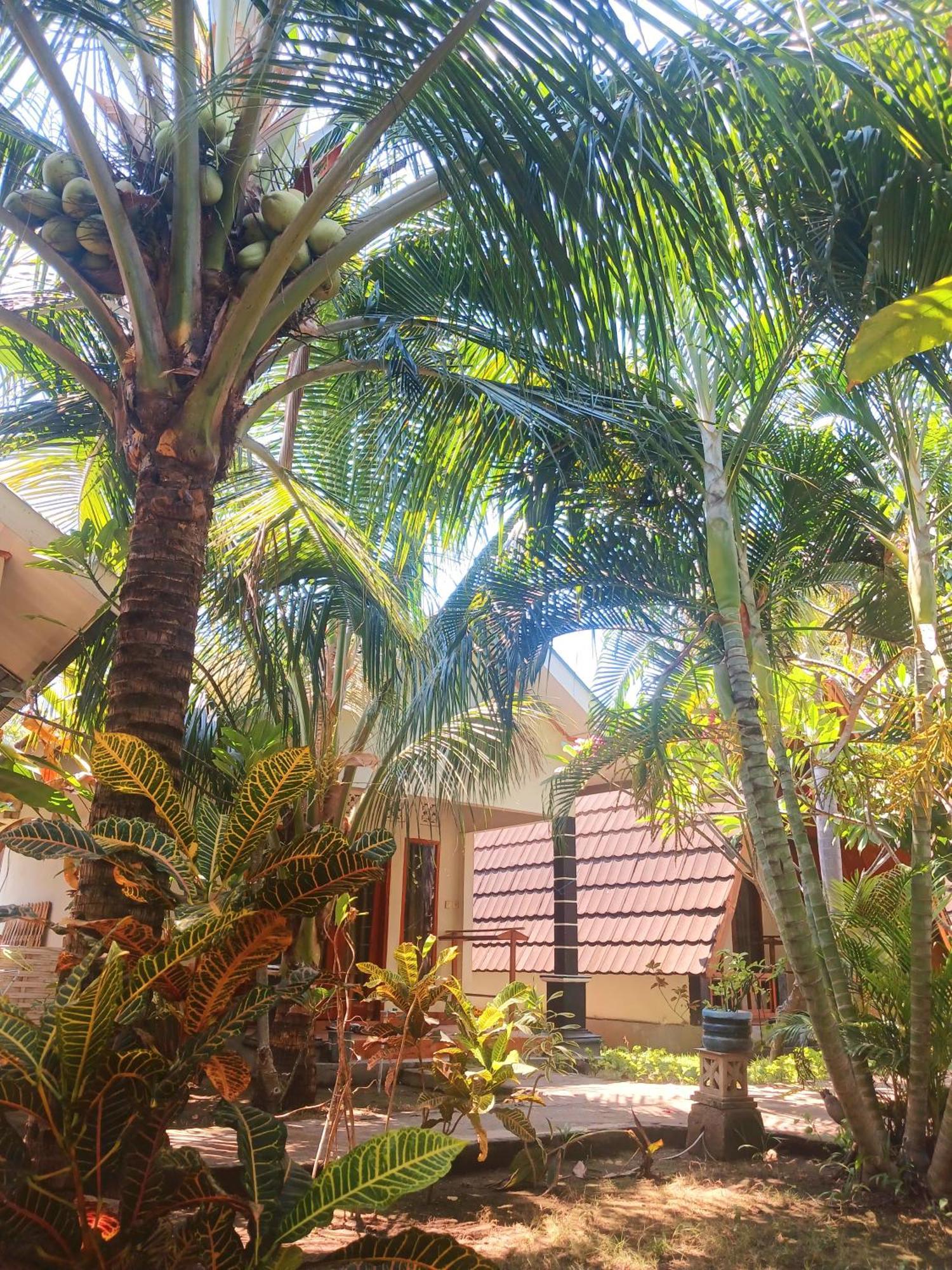 Florine'S Garden Hotel Gili Air Exterior photo